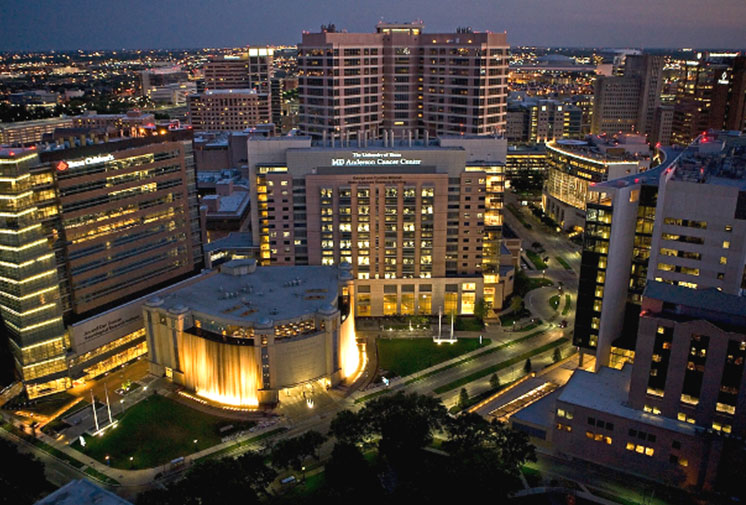 Texas Medical Center photo show image